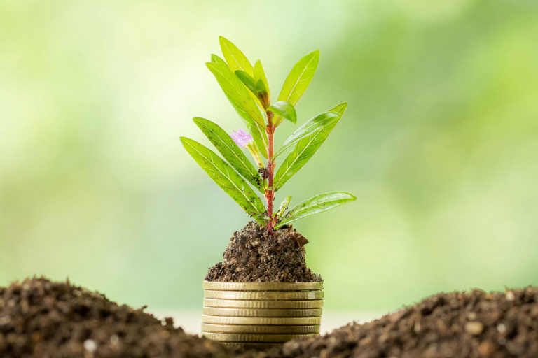 Economy and environment: to save one without destroying the other