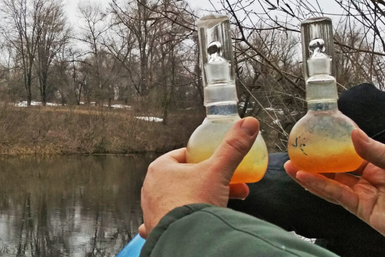 Livestock complex for growing minks in Shulhivka village pollutes the water, simulation reveals