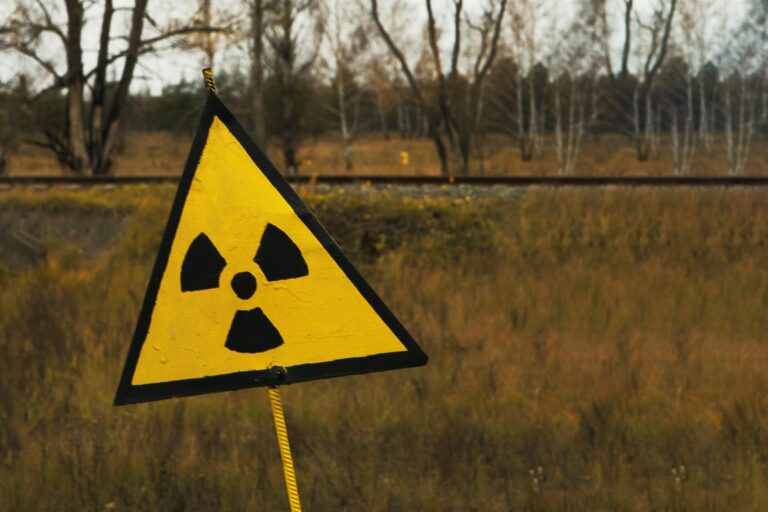 Ecoaction’s statement on the potential development of nuclear energy