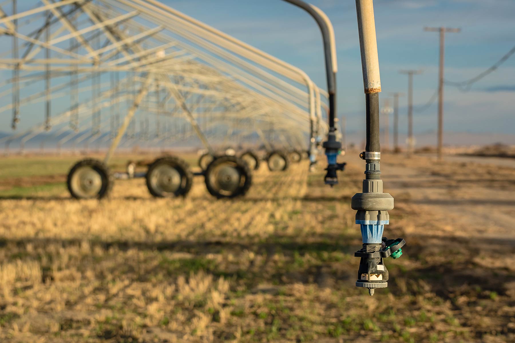Position on irrigation in Ukraine Position on irrigation in Ukraine