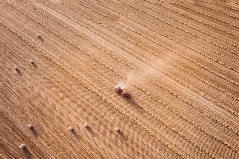 Ukraine has the second largest area globally of land controlled by foreign investors