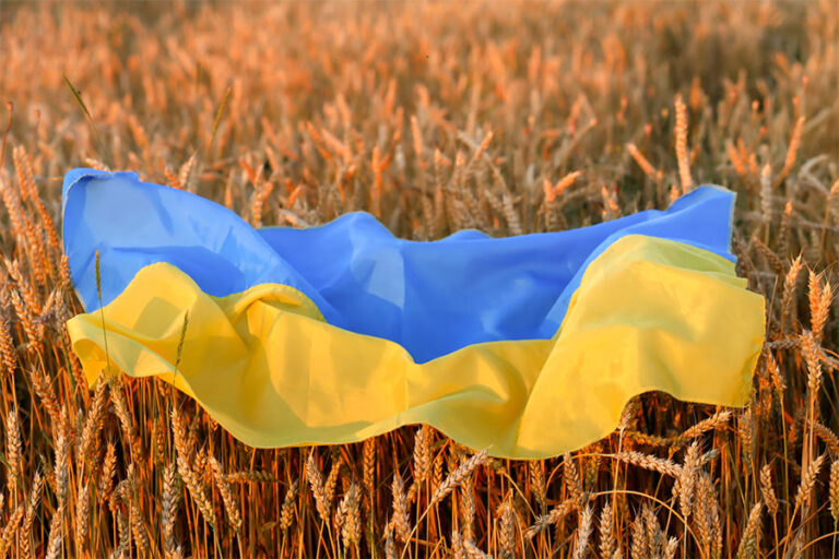 Russian invasion in Ukraine could threaten global food security and starve hundreds of millions globally