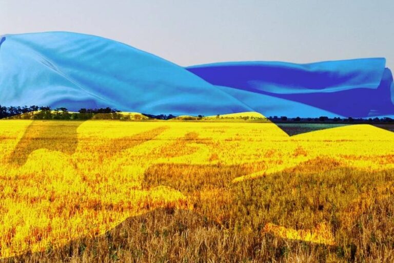 the zone of risk farming in Ukraine, which may not be feasible to conduct a sowing campaign, or inaccessible, is 202600 square kilometers, which is approximately 34% of the total land area of Ukraine.