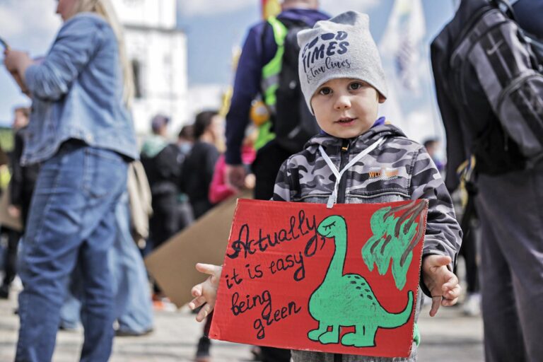 For the First Time in 2021: Ecoaction Experiments in Its Fifth Year