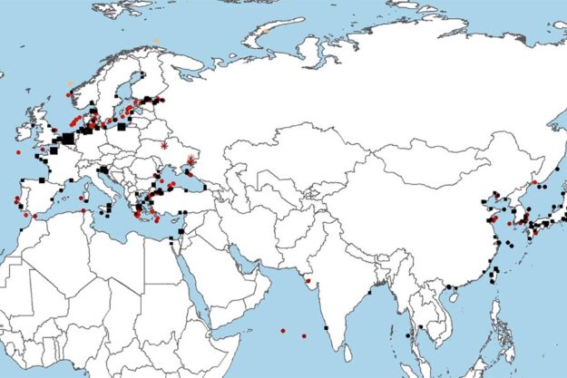 the world has funded Putin's war with €63 billion