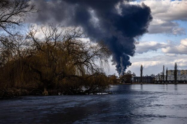 Nature and war: how russian invasion destroys Ukrainian wildlife