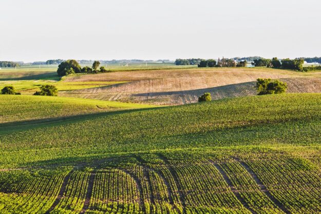 Take back the land from the invaders, not from Mother Nature!