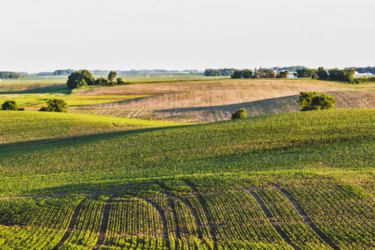 Take back the land from the invaders, not from Mother Nature!