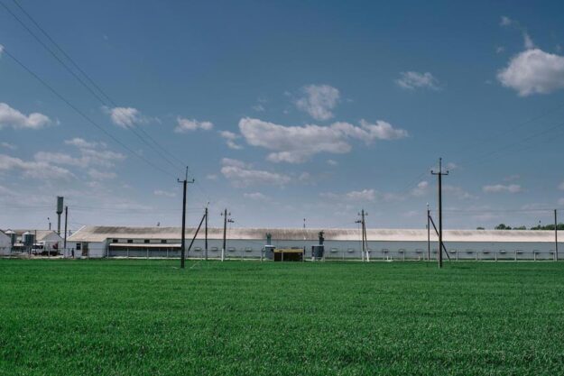 Food security for all