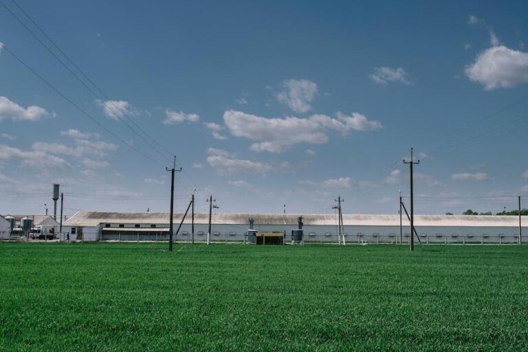 Food security for all