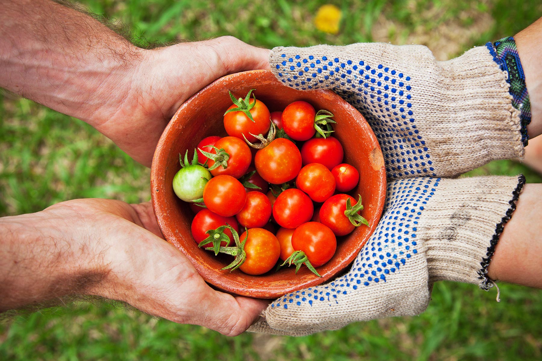 Food systems are also about the quality of the food itself, the quality of the environment, and the quality of life. Food systems are also about the quality of the food itself, the quality of the environment, and the quality of life.