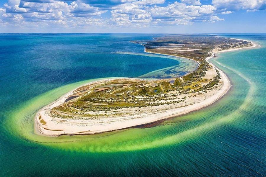 War and the Sea: How hostilities threaten the coastal and marine ecosystems of the Black and Azov Seas War and the Sea: How hostilities threaten the coastal and marine ecosystems of the Black and Azov Seas