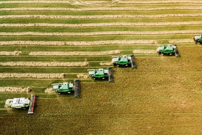 How to Make Production Truly Organic: Galex-Agro Experience