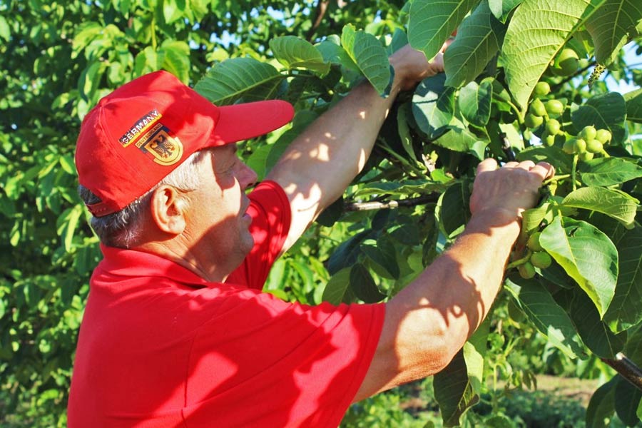 Vinnytsia Farmer Maintains Soil Fertility Vinnytsia Farmer Maintains Soil Fertility
