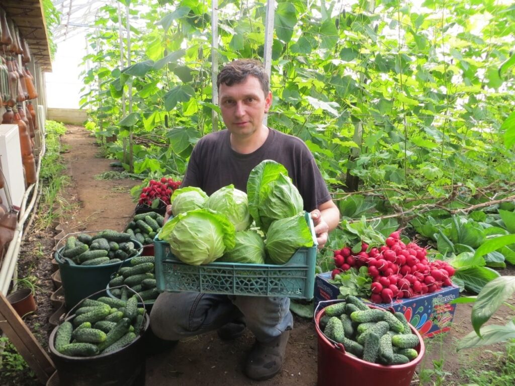 Andriy Marchenko and his harvest