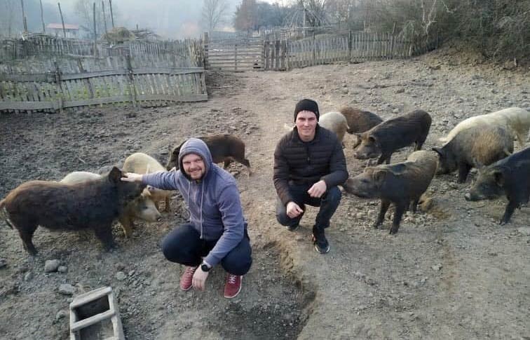Photo 8. The herd of 21 pigs. Photo courtesy of Oleh Bachynskyi