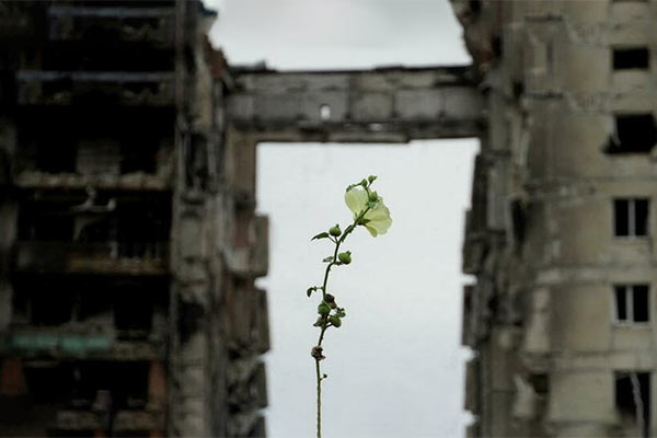 The green horizon of victory