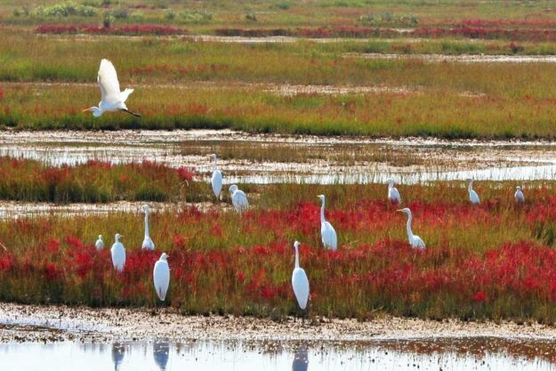 How Communities Can Re-build as Sustainable to Climate Change: Results of Four Local Projects How Communities Can Re-build as Sustainable to Climate Change: Results of Four Local Projects