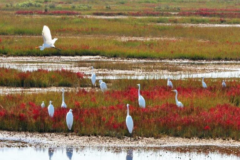 How Communities Can Re-build as Sustainable to Climate Change: Results of Four Local Projects