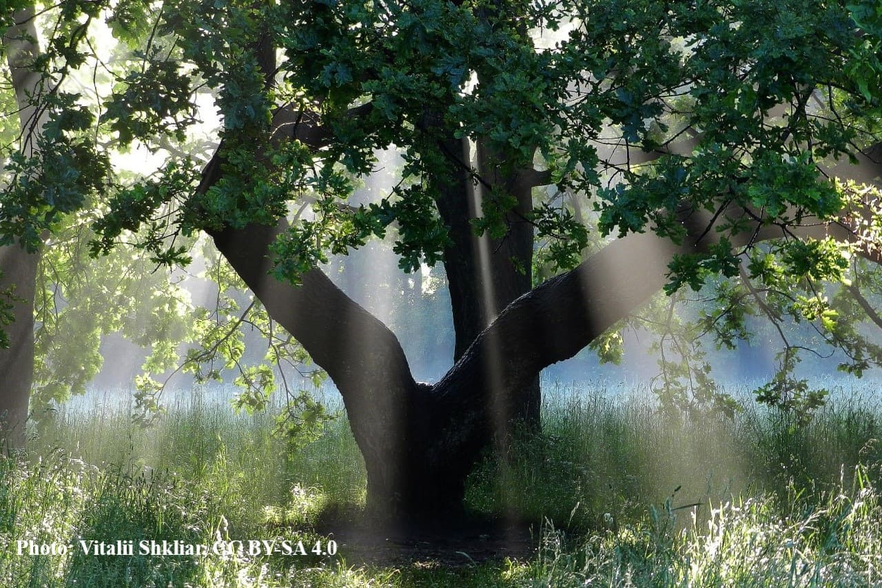 Climate-change-restoration-of-Ukraine