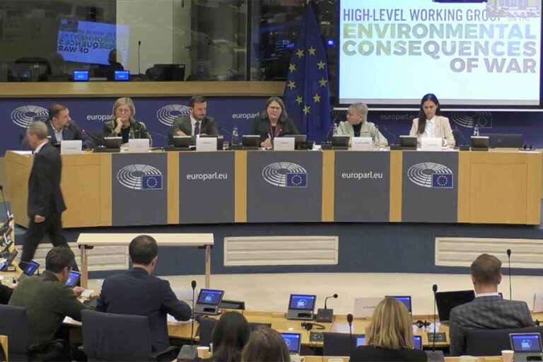 Ecoaction’s Board member Anna Ackerman delivered a statement during the European Parliament public hearing