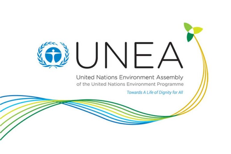 Ecoaction supported joint position of CSOs on importance of including peace and conflict aspects as part of UNEA-6 decisionsEcoaction supported joint position of CSOs on importance of including peace and conflict aspects as part of UNEA-6 decisions