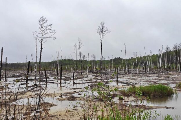 Why the state allows mining in valuable natural areas