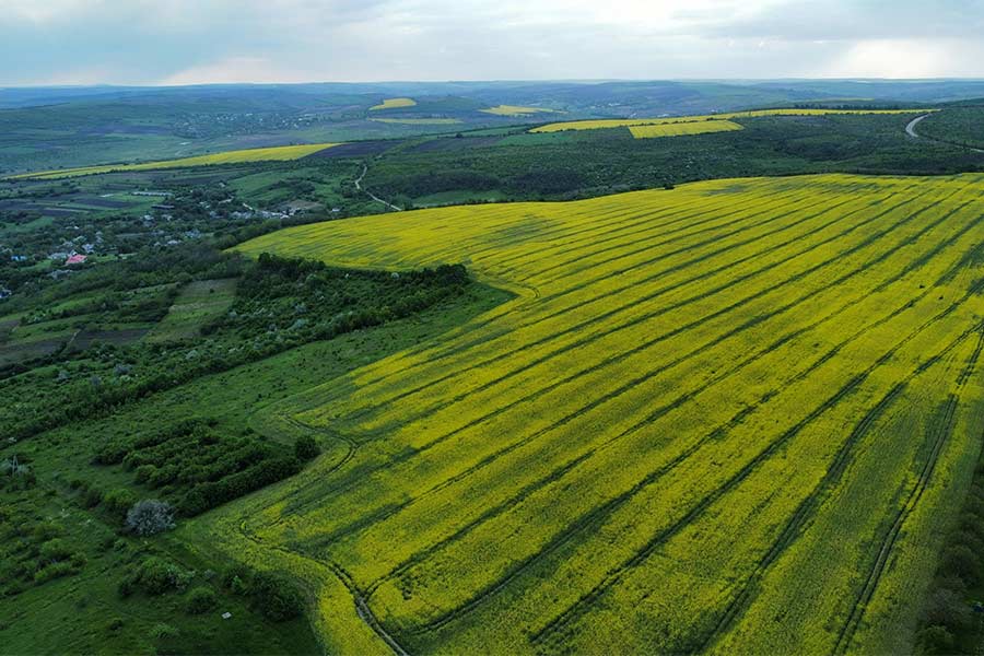 land-management